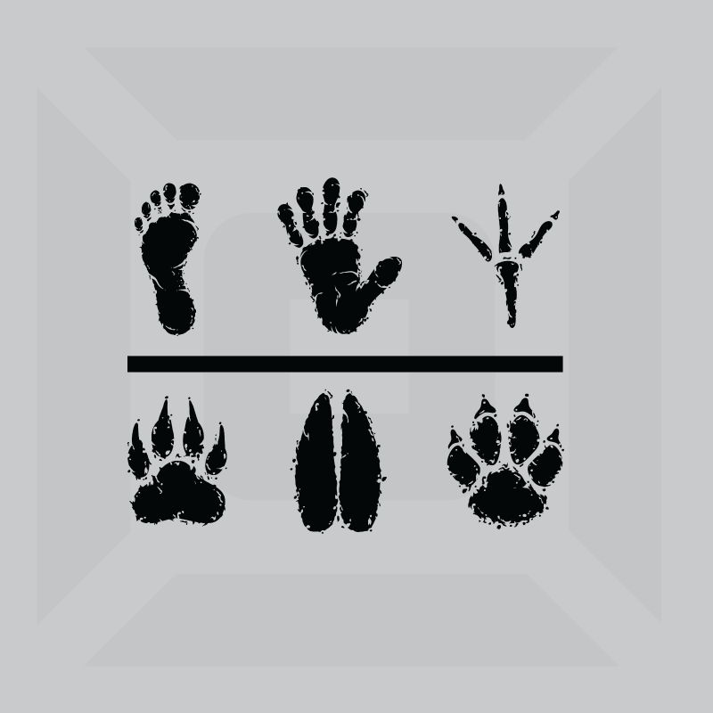 Hanorac bumbac organic alb/negru, model "Footprint"